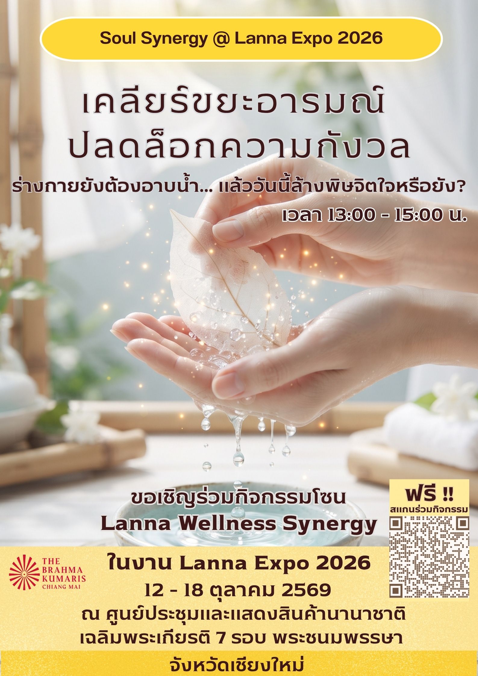 Soul Synergy @ Lanna Expo 13